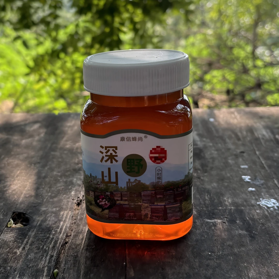 康信蜂尚 高品质 深山野蜂蜜500g/瓶WJG
