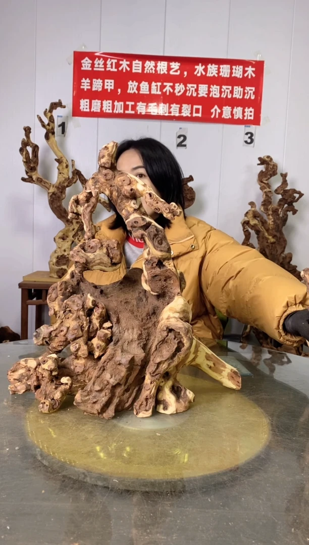 【闪购商品】木48金丝红木 羊蹄甲