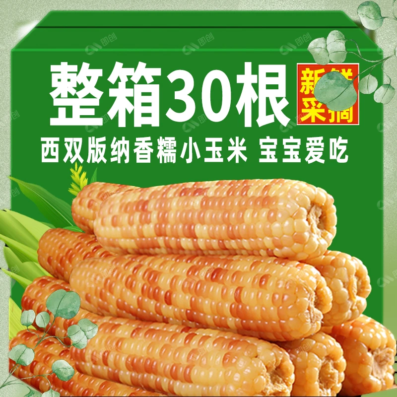 推荐农家软糯苞米西双版纳学生严选香糯小玉米新鲜宿舍速食网红