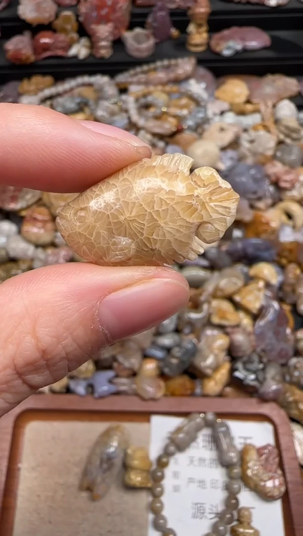 硅化珊瑚（珊瑚玉）未镶嵌颈饰221