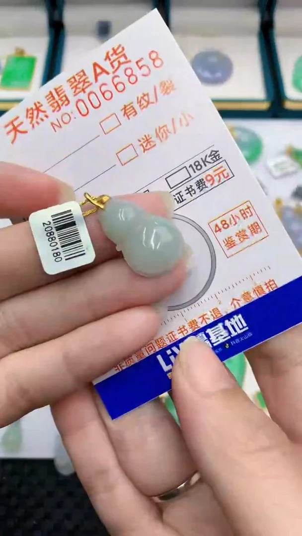 【闪购商品】翡翠颈饰18K金镶嵌            8