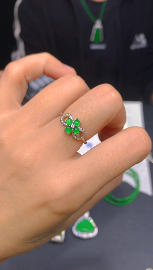 【闪购商品】定制翡翠未镶嵌184多样性发货（发其一）