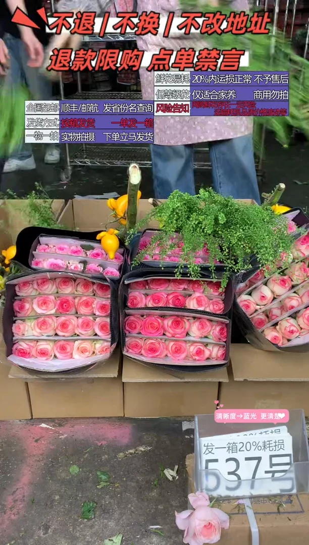 537号♥含20%耗损发一箱