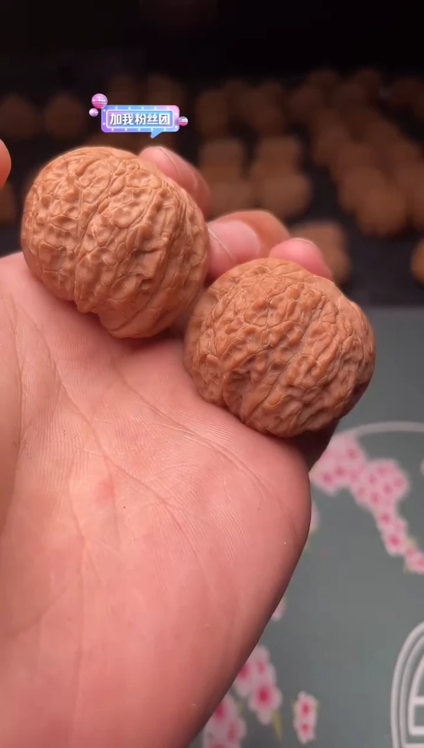 核桃a135  血麒麟 36尺