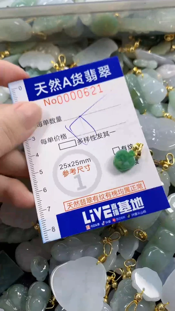 颈饰未镶嵌翡翠天然A货翡翠
