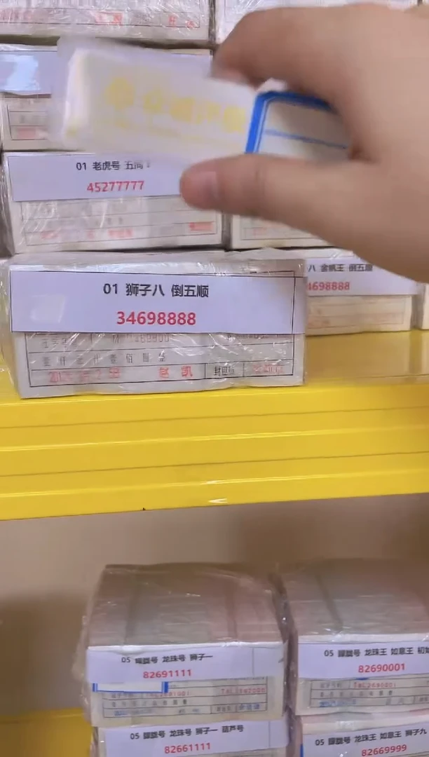 MZ 01 狮子八 倒五顺 34698888