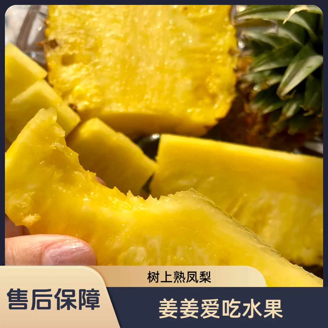 .【树上熟凤梨】鸟爱吃凤梨 香甜多汁 风味浓郁  3粒装 净重5斤