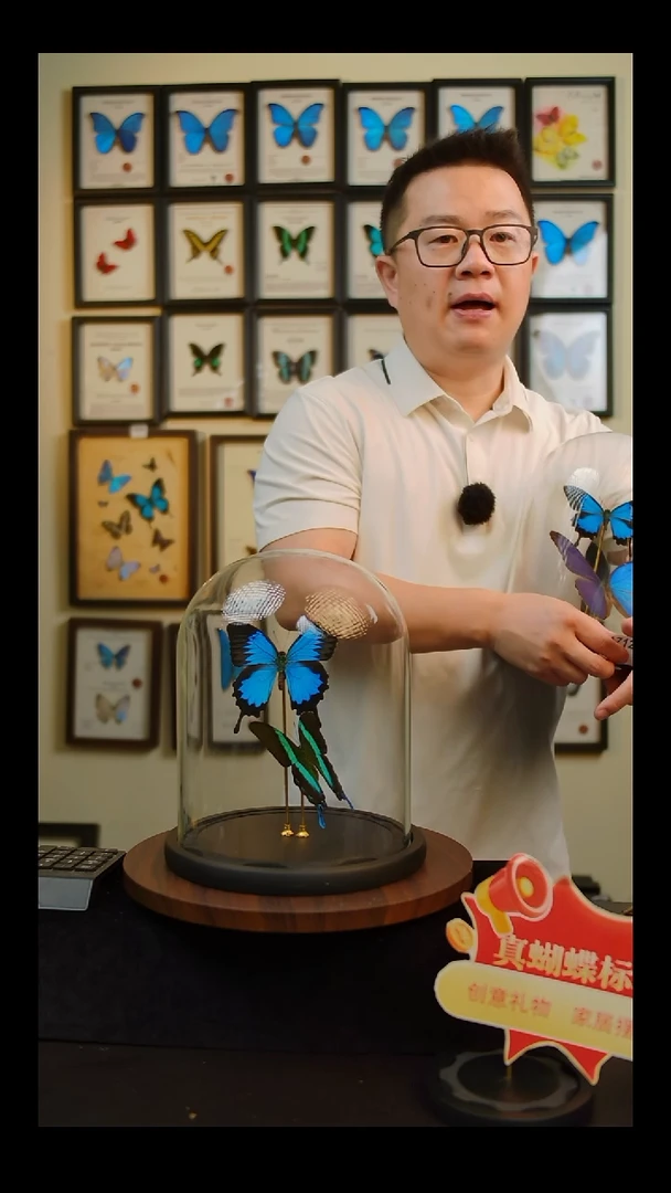 天堂+爱神组合玻璃罩A603
