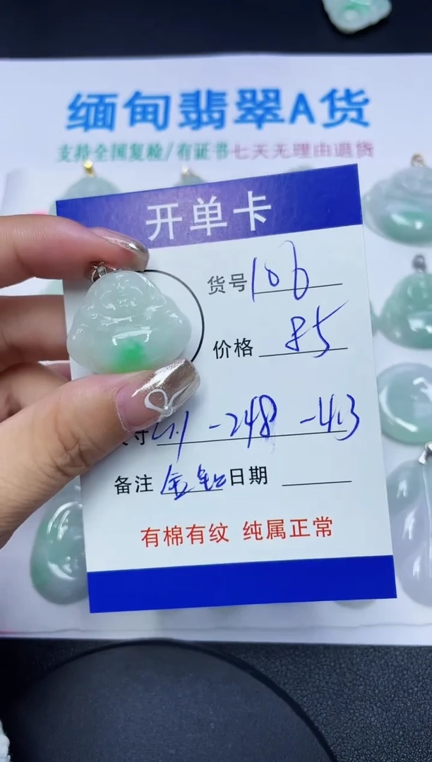 翡翠未镶嵌吊坠(赠链)106