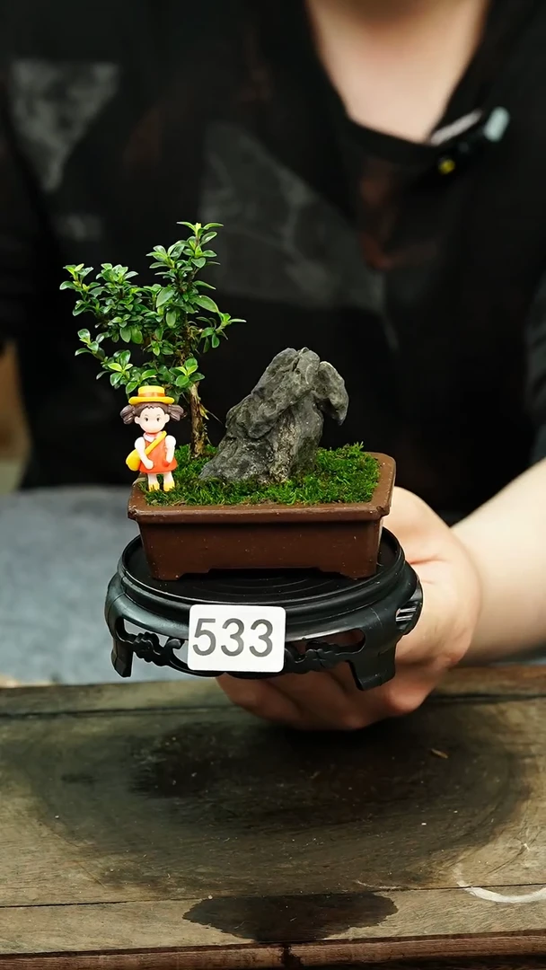 【闪购商品】苔藓微景观533号
