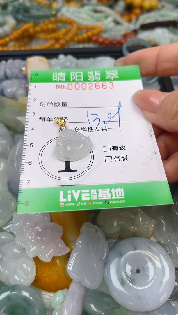 翡翠未镶嵌颈饰闪购0002663