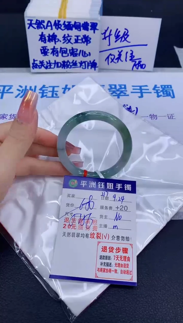 未镶嵌手镯翡翠111111