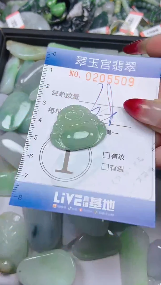 颈饰未镶嵌翡翠闪购C0205509多样性发其一
