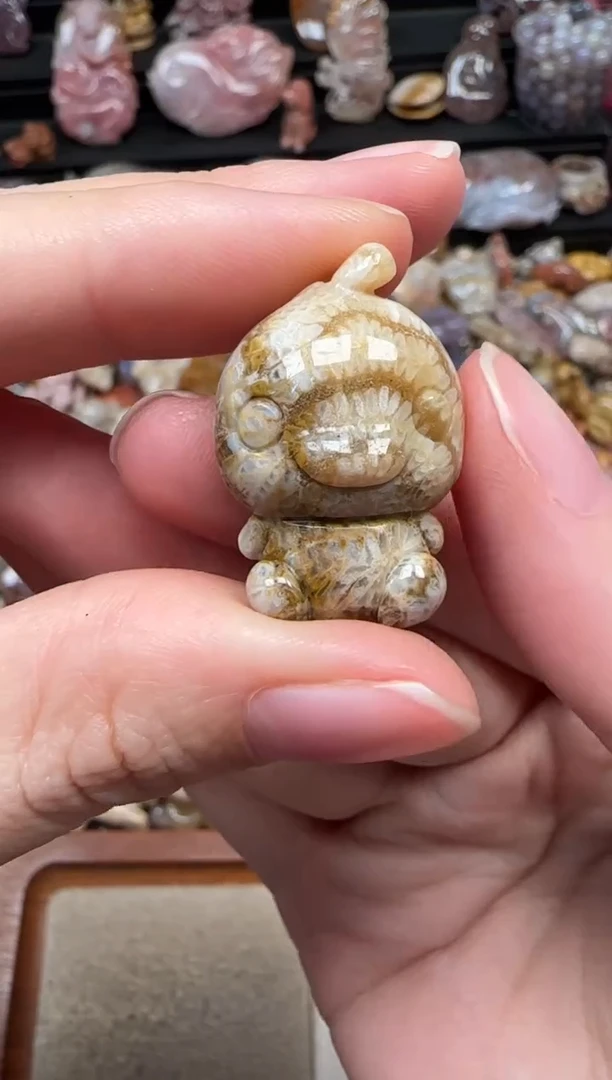 颈饰未镶嵌硅化珊瑚（珊瑚玉）293