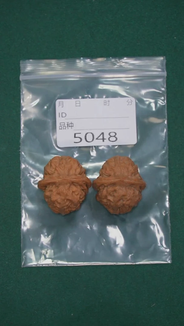 把件文玩核桃蒋***u32铁狮子