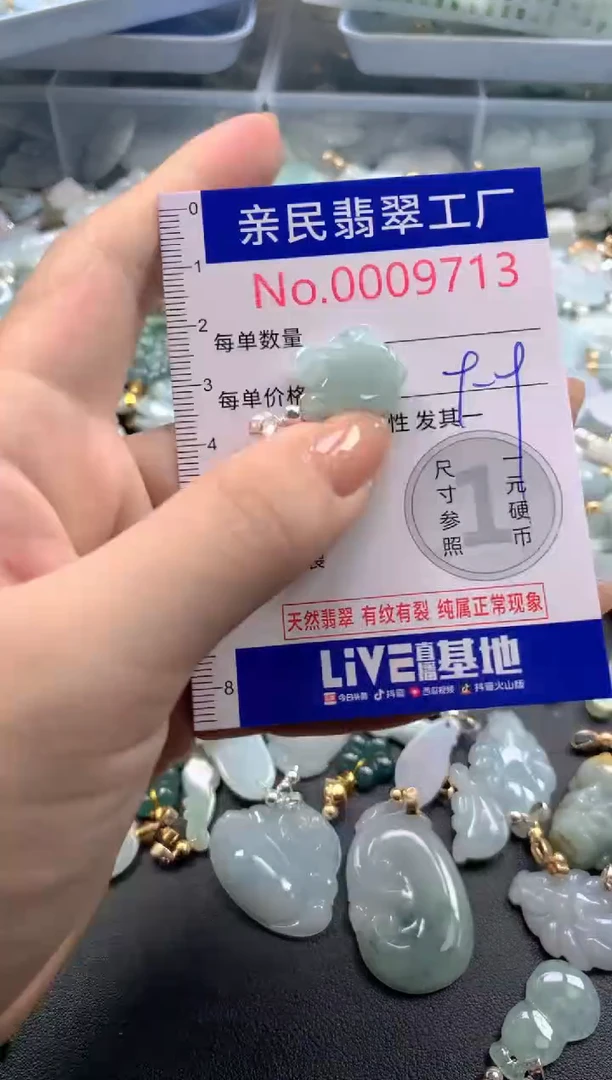 颈饰未镶嵌翡翠9713