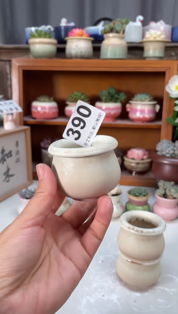 瓷片390小芳直播编号