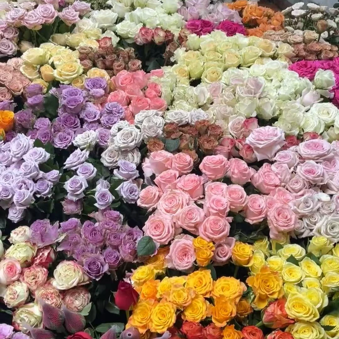 家庭瓶插花洛神玫瑰3支