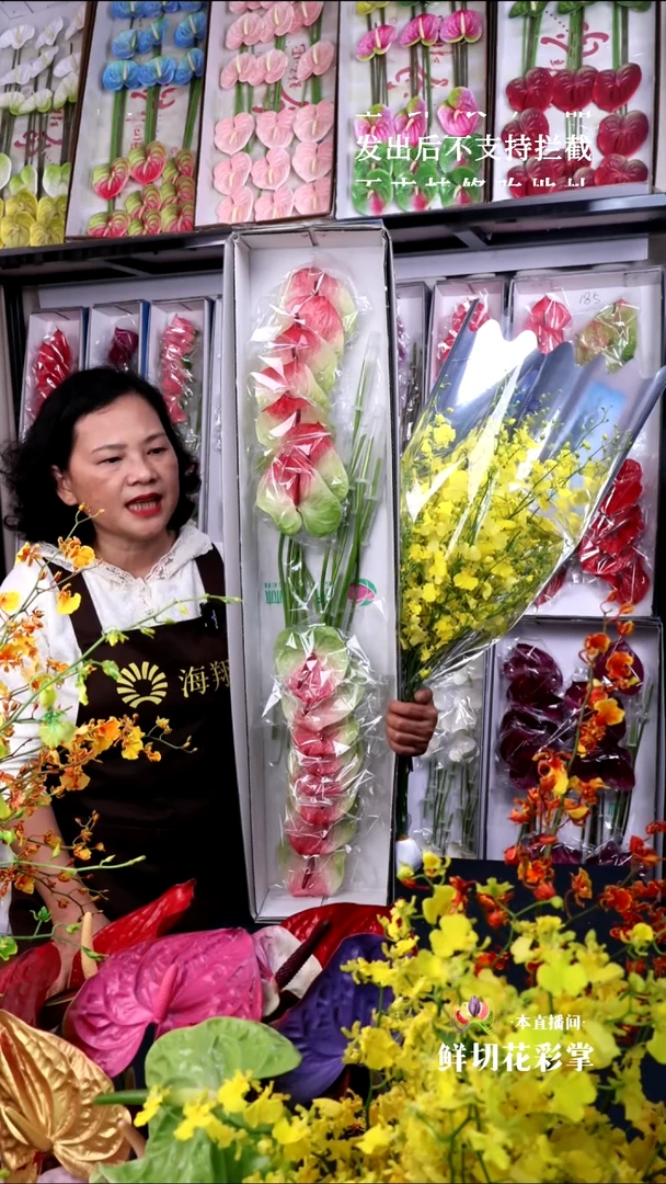 塞菲拉16支小掌+B级跳舞兰1束，微瑕无售后