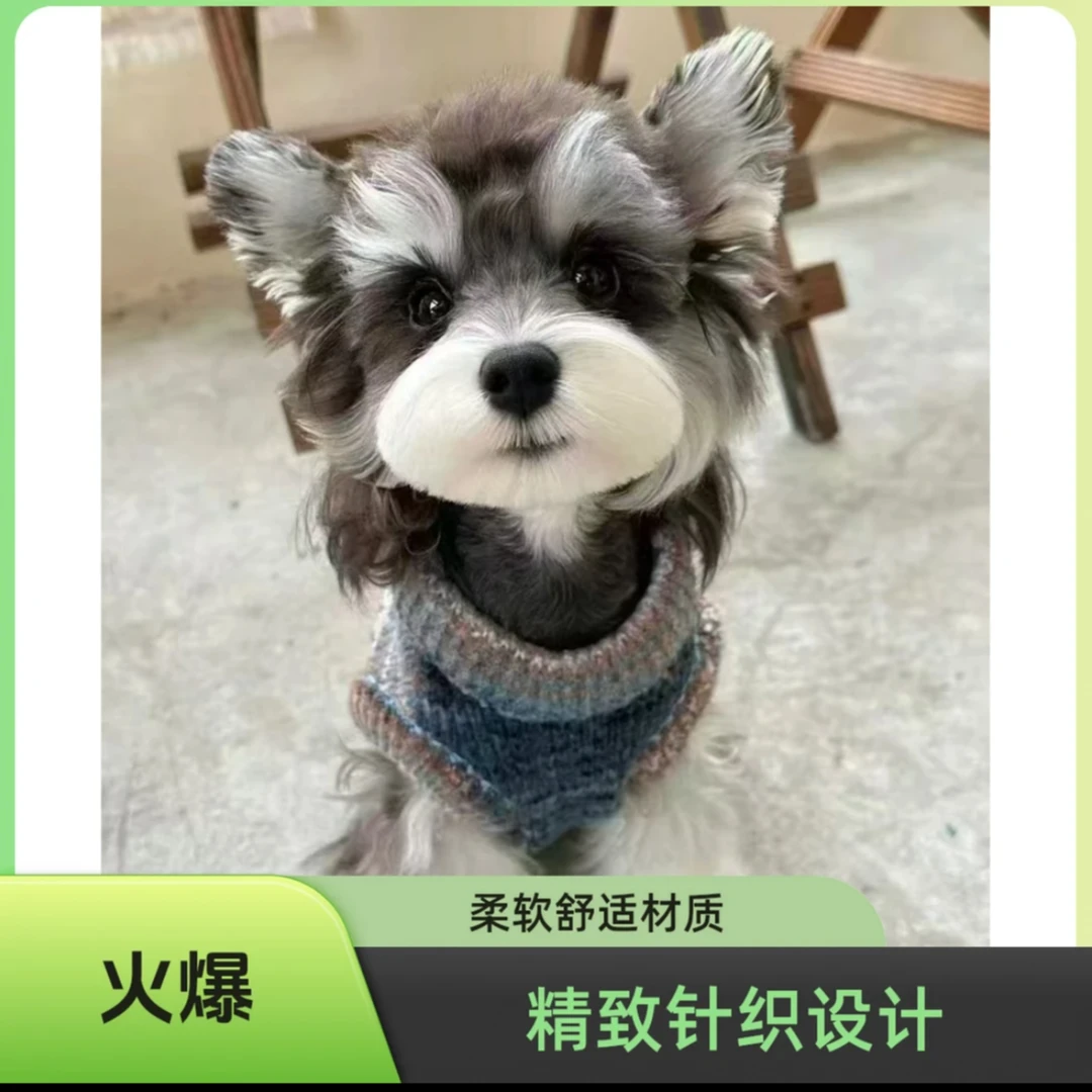 (洛阳鑫海犬业)宠物活体包犬瘟细小检测