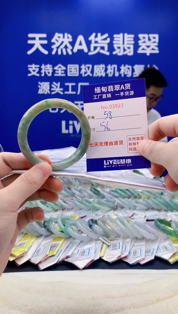 未镶嵌手镯翡翠23