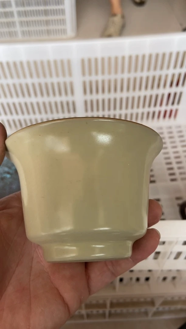 杯无运费险有瑕疵的摄影的产品有使用过的痕迹有点脏介意勿拍