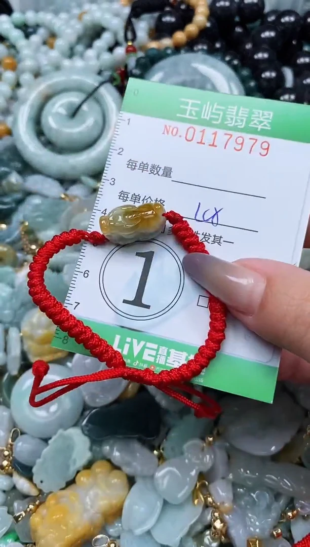 翡翠未镶嵌颈饰闪购0117979