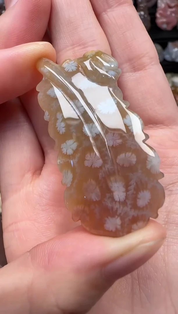 颈饰未镶嵌硅化珊瑚（珊瑚玉）833