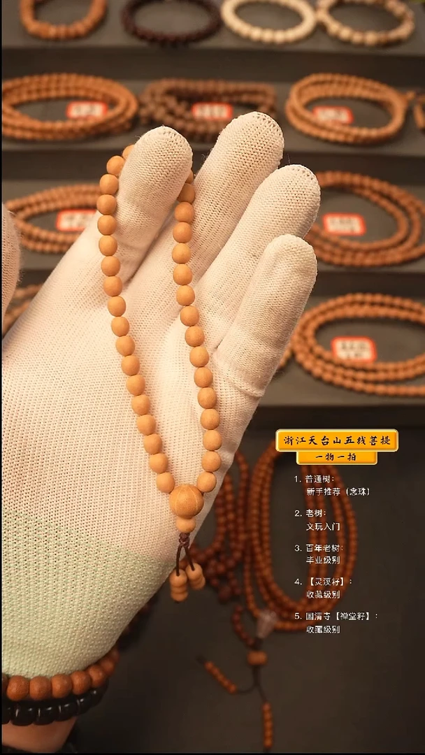 吊坠五线菩提q手持