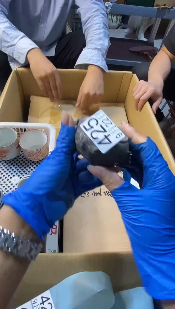 11111凡**仙1111111111111111111