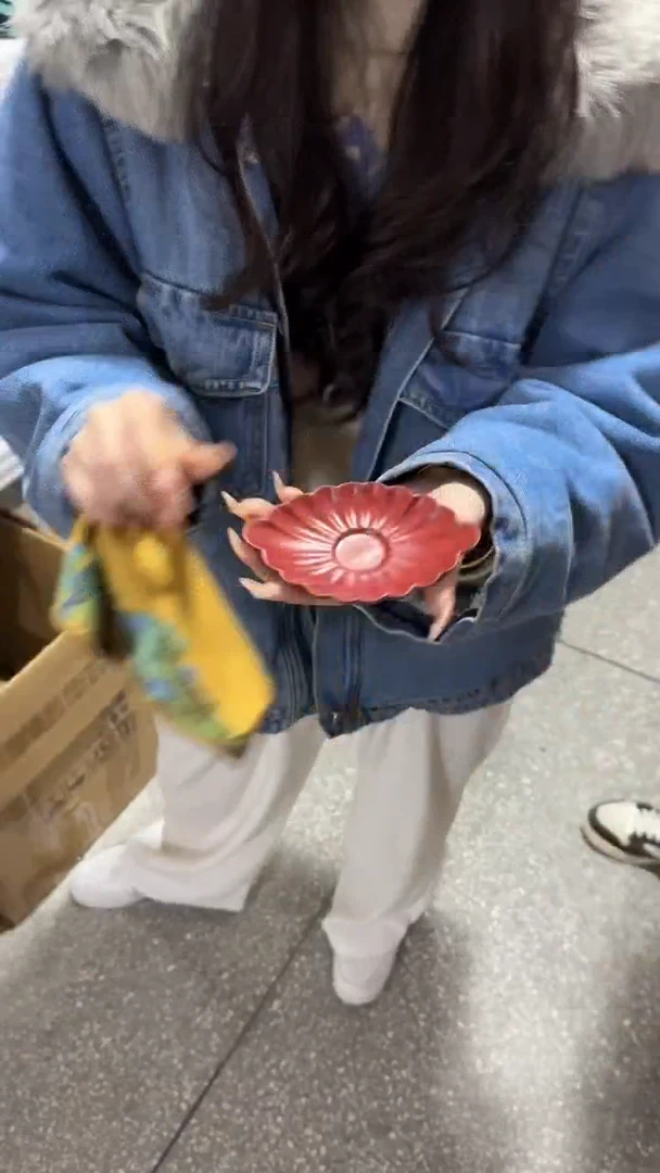 【闪购商品】瓷片1111111@@fr406