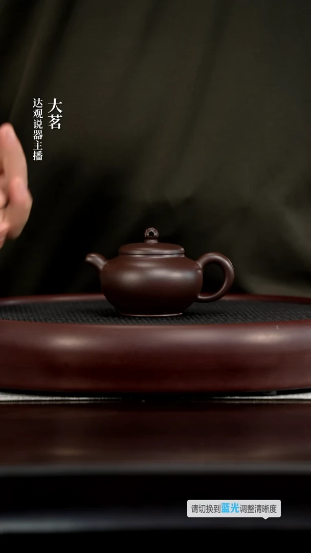 茶壶紫砂茗DG249刘志文福韵紫泥170