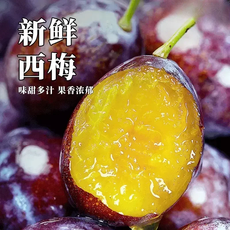 【西梅】西梅水果高原露天现摘现发放软多汁肉厚