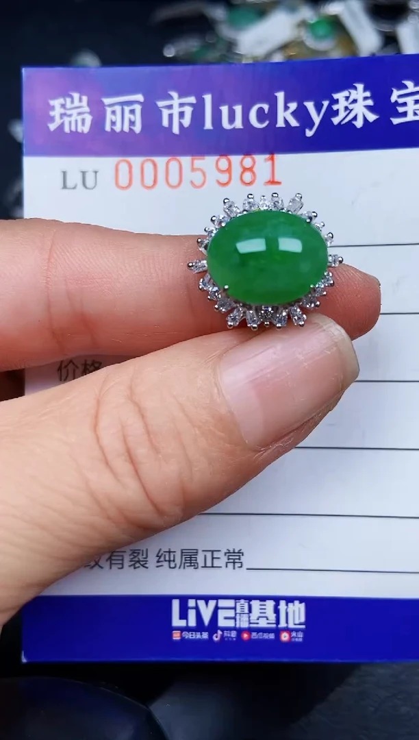 翡翠银S925镶嵌颈饰5981