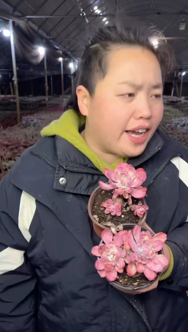 【闪购商品】163-伯克利锦一单一多8