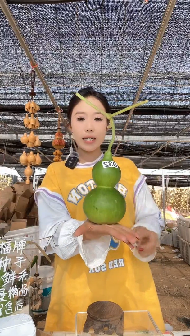 032天然葫芦摆件 一物一拍龙头不保售后