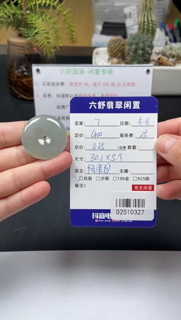 翡翠未镶嵌颈饰D2510327