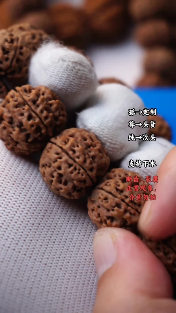 手串金刚菩提粗筋双龙20+