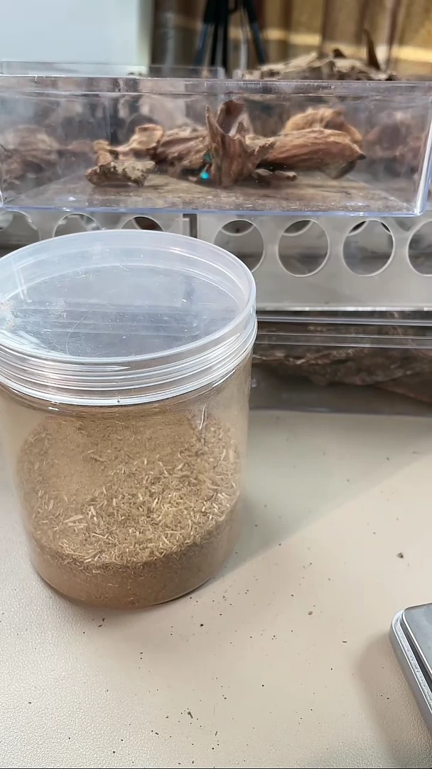 【闪购商品】沉香沉香碎屑李胖胖达拉干5g