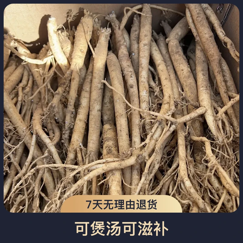 贵州原产地现挖新鲜黄党参可煲汤可滋补小条