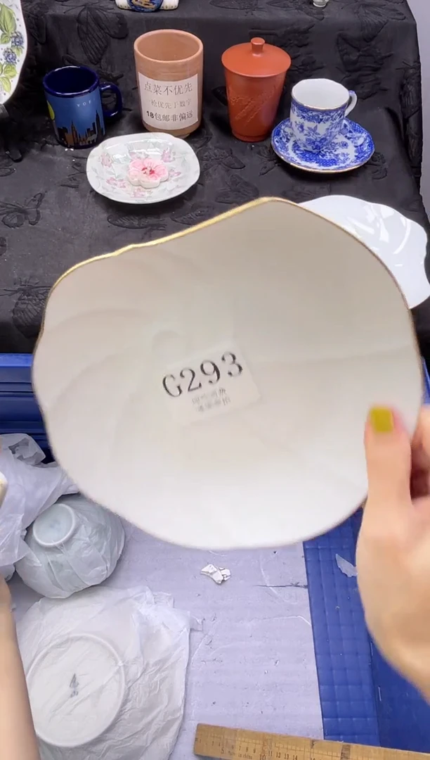 瓷片?*米       G293