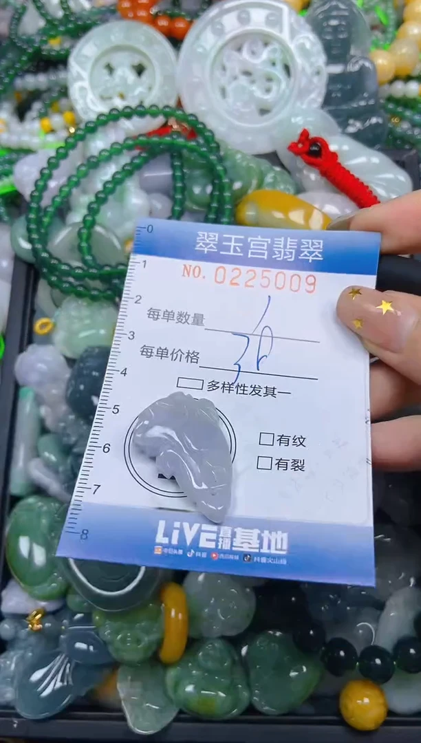 颈饰未镶嵌翡翠闪购C0225009