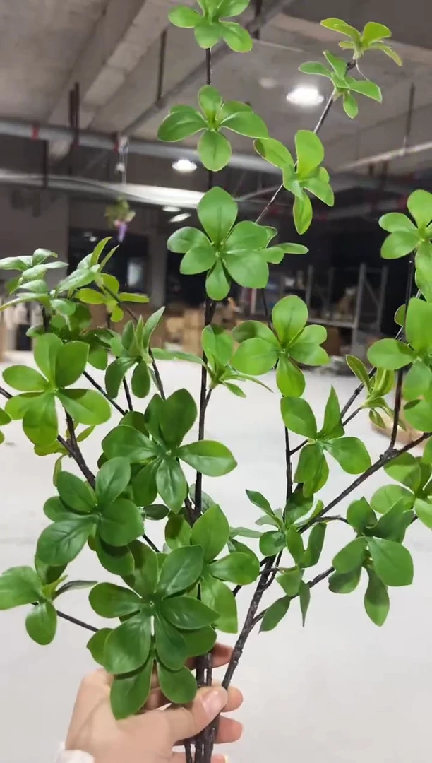 2枝绿色吊钟