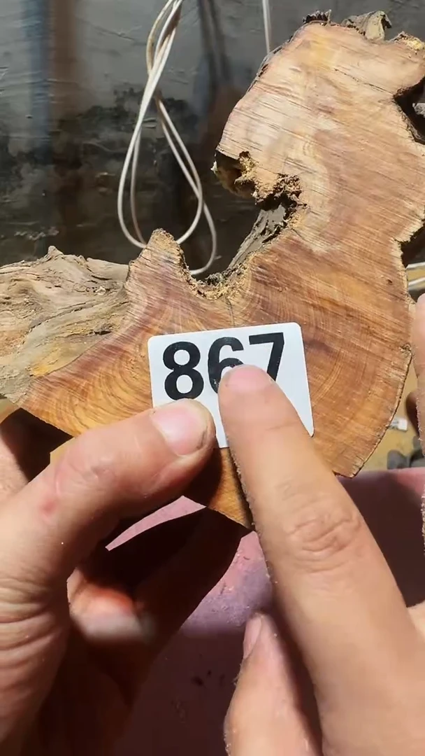 柏木木头款太行陈化崖柏现切片！867