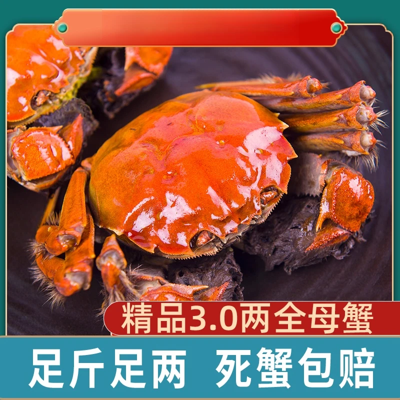 苏州活蟹京东冷链发货母蟹8只规格3两