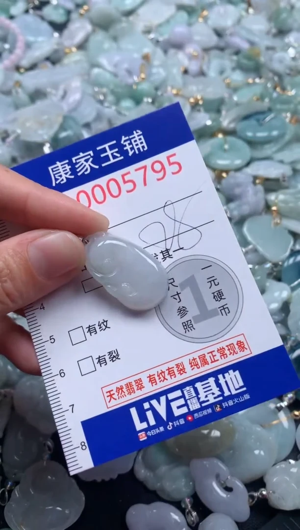 颈饰未镶嵌翡翠5795