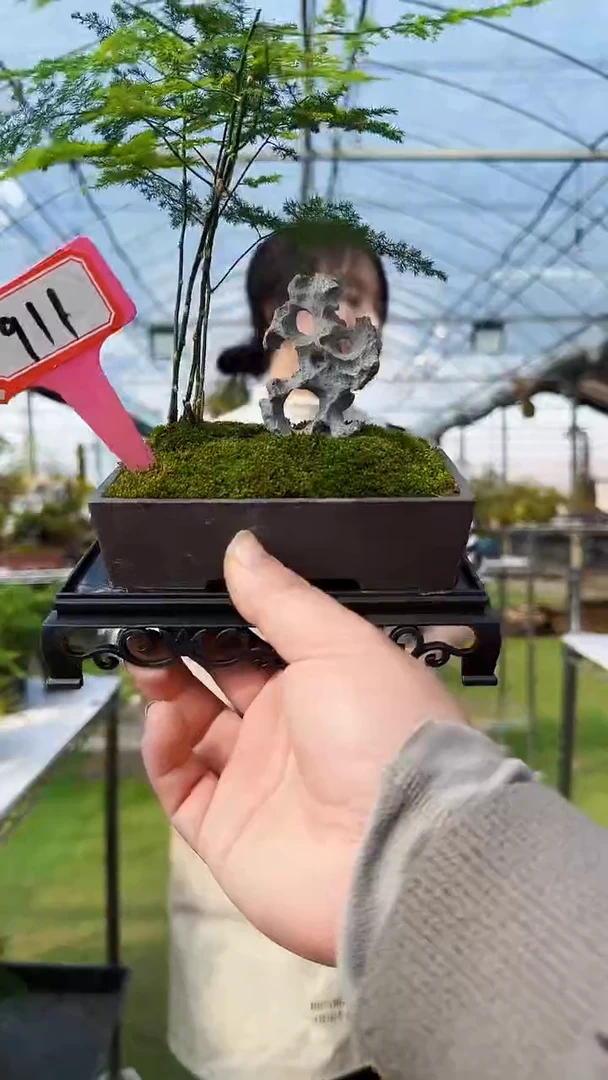 【闪购商品】911