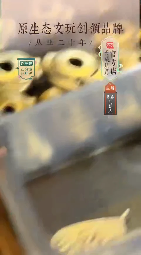 大*黄立马大号马蹄珠一对