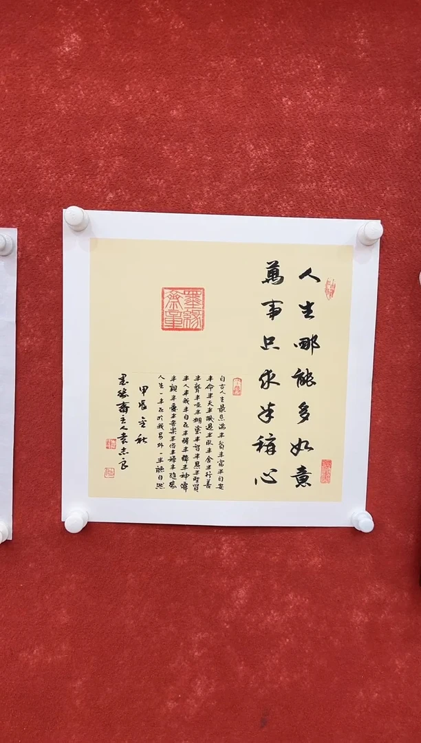 国画9.15-珍品-袁志良-19-不带国检证书