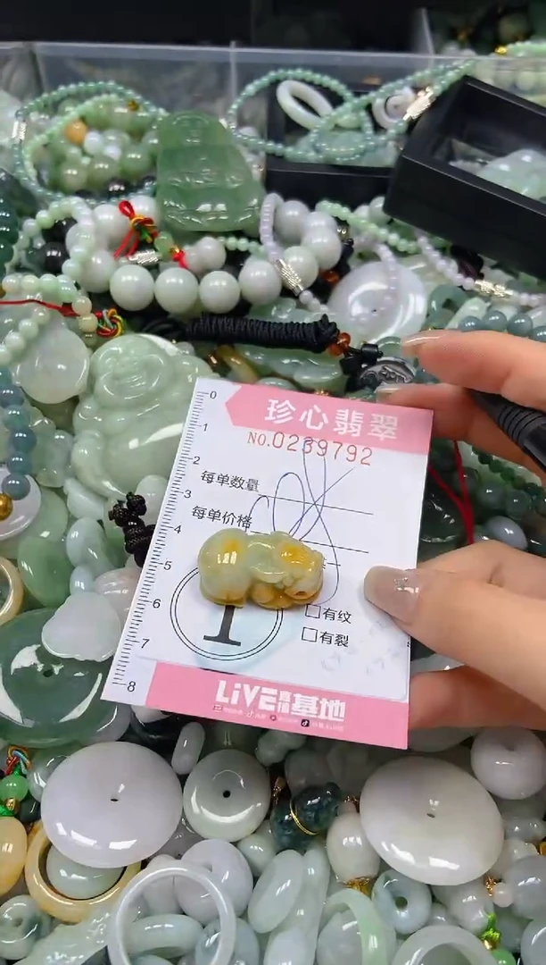 翡翠未镶嵌颈饰闪购0239792